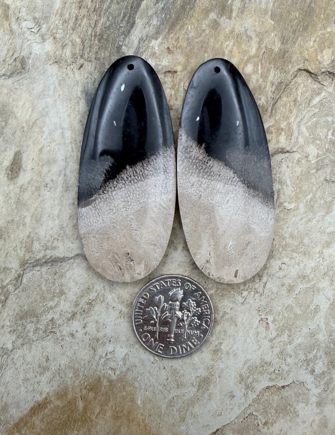 Petrified Palm Root (Indonesia) BIG Matching Earring Slab