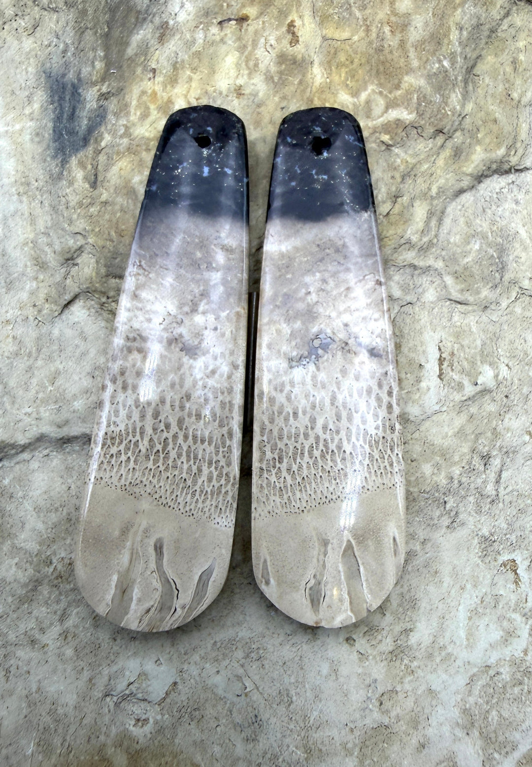 Petrified Palm Root (Indonesia) LONG Matching Earring Slab