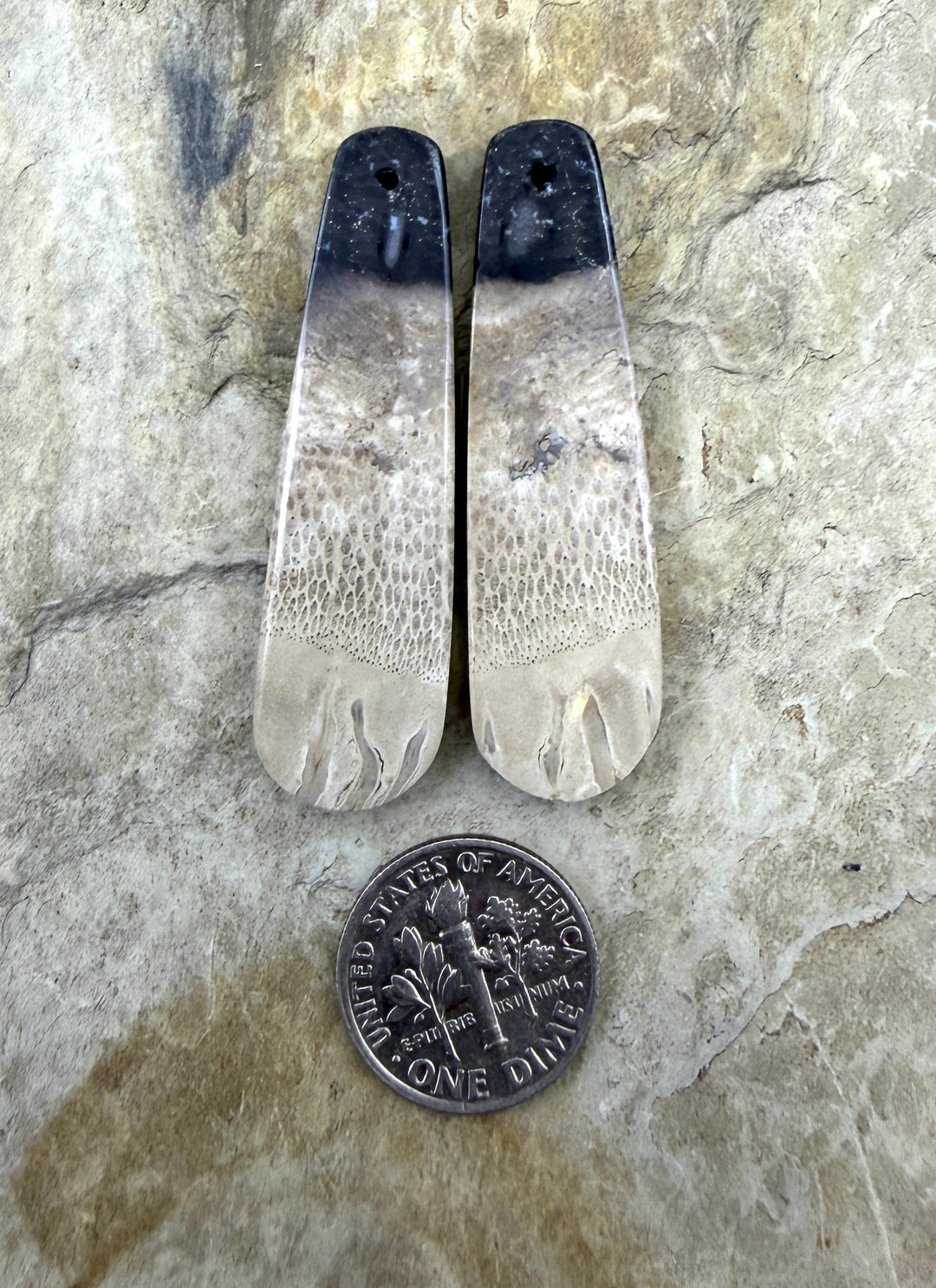 Petrified Palm Root (Indonesia) LONG Matching Earring Slab