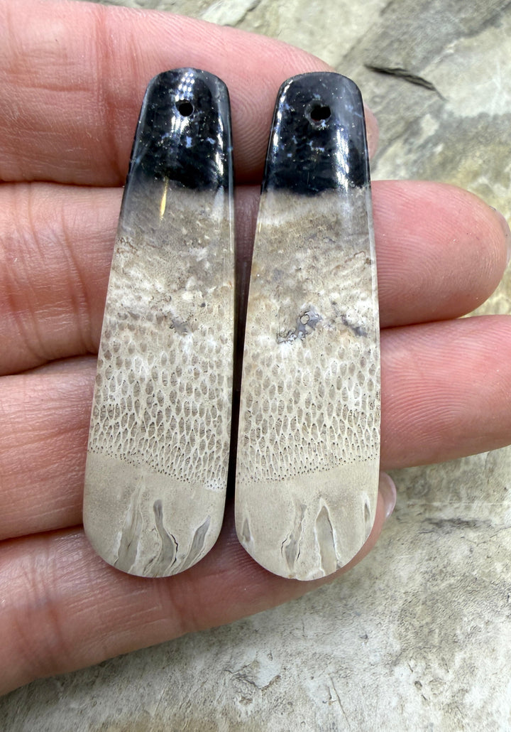 Petrified Palm Root (Indonesia) LONG Matching Earring Slab