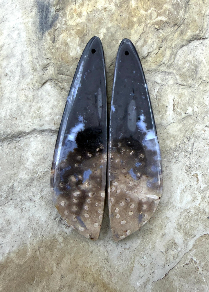 Petrified Palm Root (Indonesia) LONG Matching Earring Slab