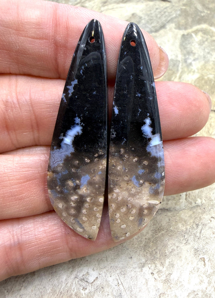 Petrified Palm Root (Indonesia) LONG Matching Earring Slab