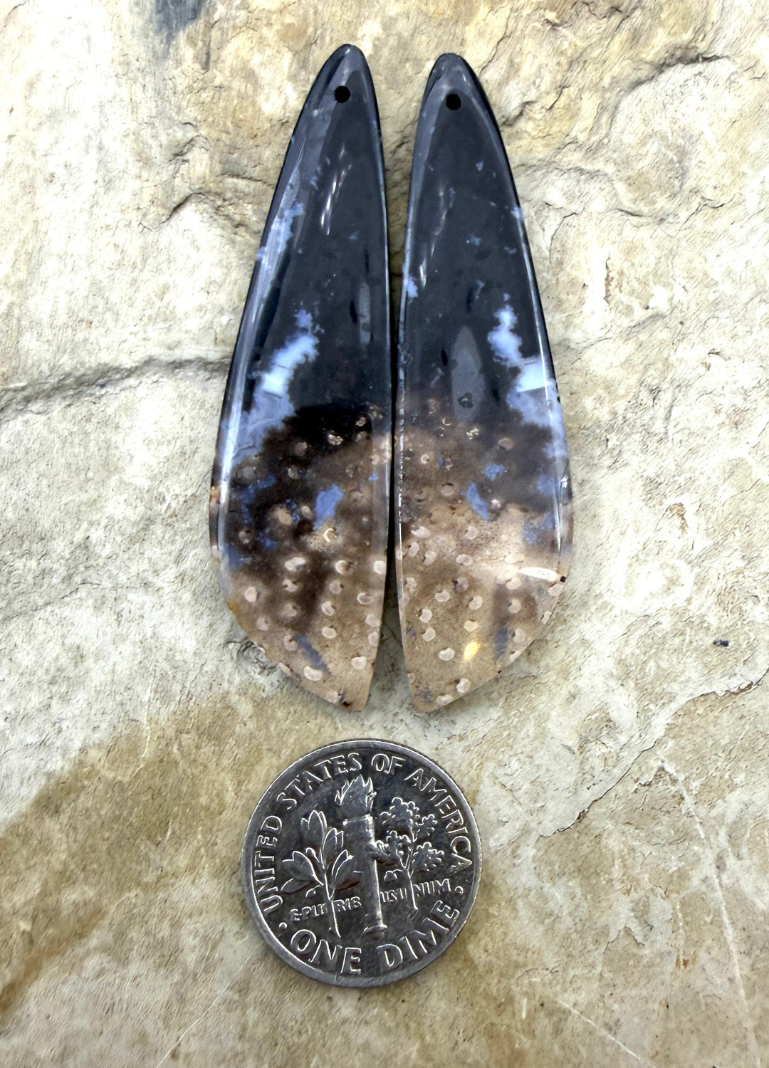 Petrified Palm Root (Indonesia) LONG Matching Earring Slab