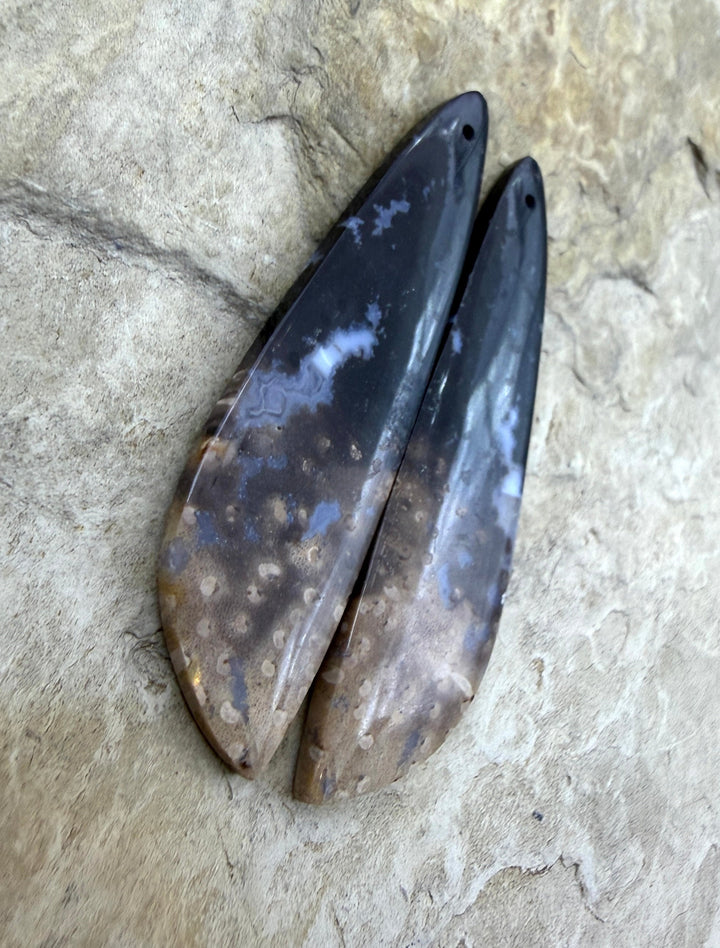 Petrified Palm Root (Indonesia) LONG Matching Earring Slab