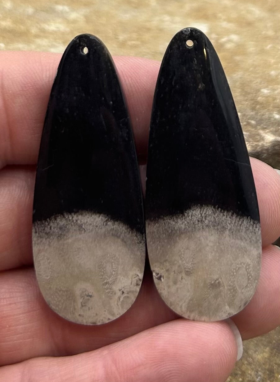Petrified Palm Root Matching Earring Slab Bead Pair 20x50mm