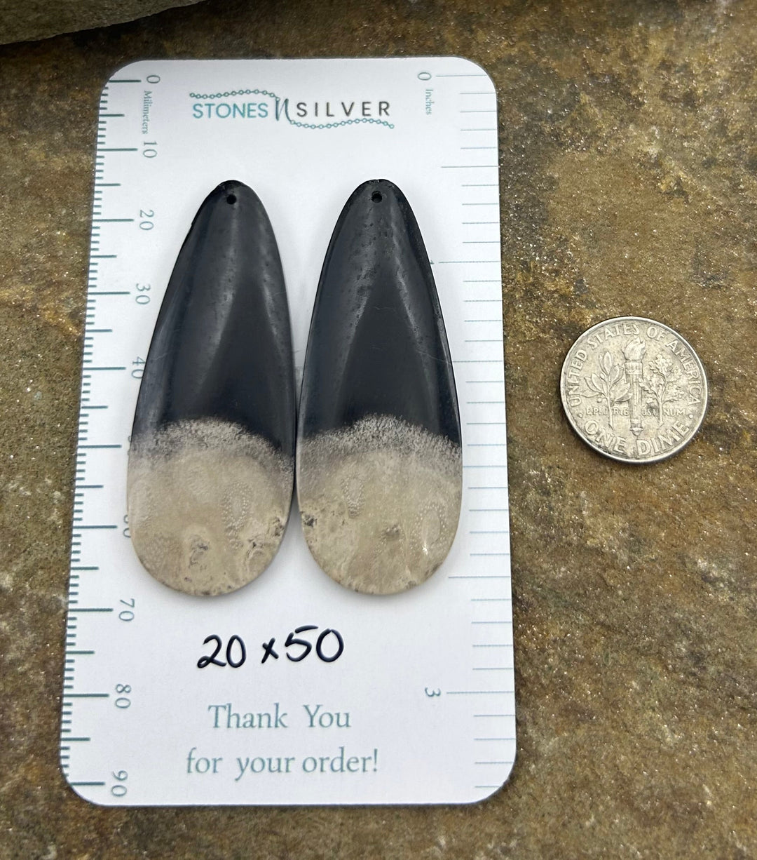 Petrified Palm Root Matching Earring Slab Bead Pair 20x50mm