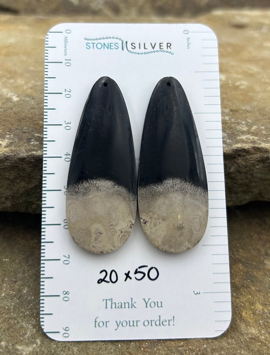 Petrified Palm Root Matching Earring Slab Bead Pair 20x50mm