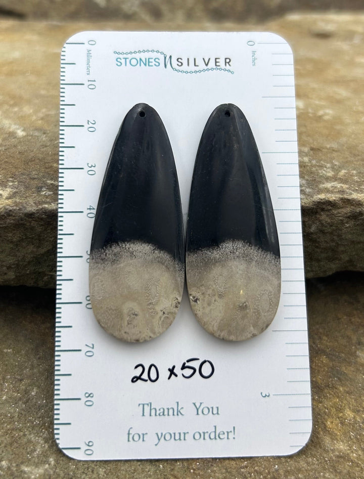 Petrified Palm Root Matching Earring Slab Bead Pair 20x50mm