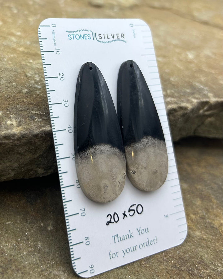 Petrified Palm Root Matching Earring Slab Bead Pair 20x50mm