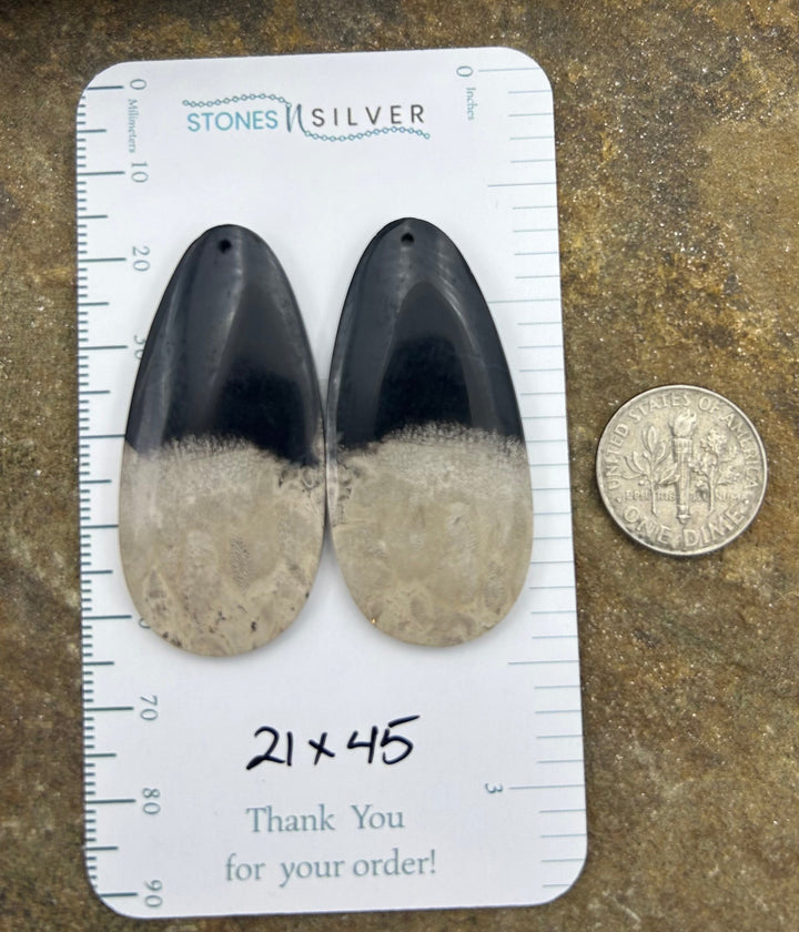 Petrified Palm Root Matching Earring Slab Bead Pair 21x45mm