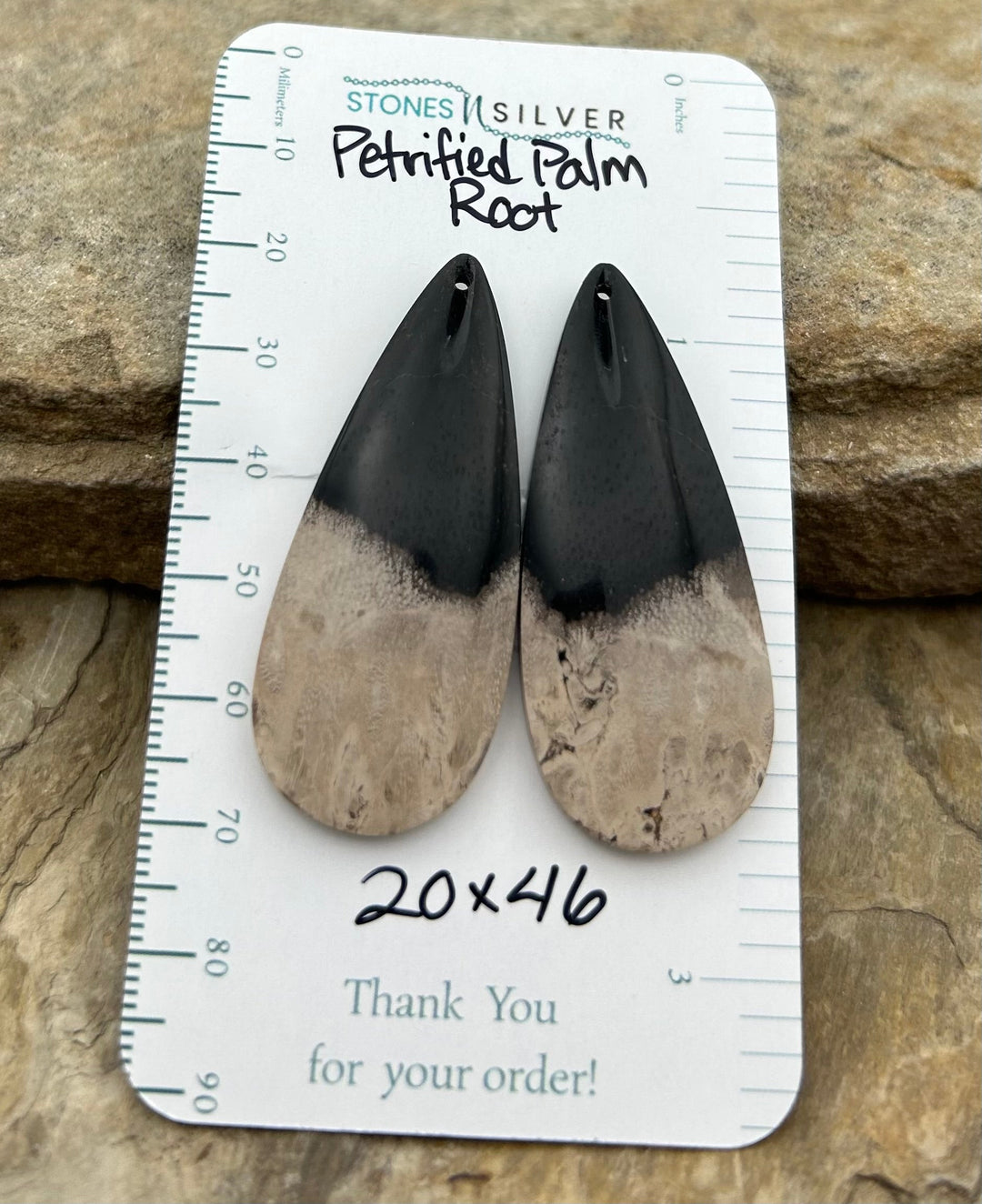 Petrified Palm Root Matching Earring Slab Bead Pair 2x46mm