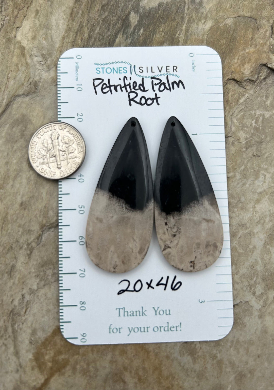 Petrified Palm Root Matching Earring Slab Bead Pair 2x46mm