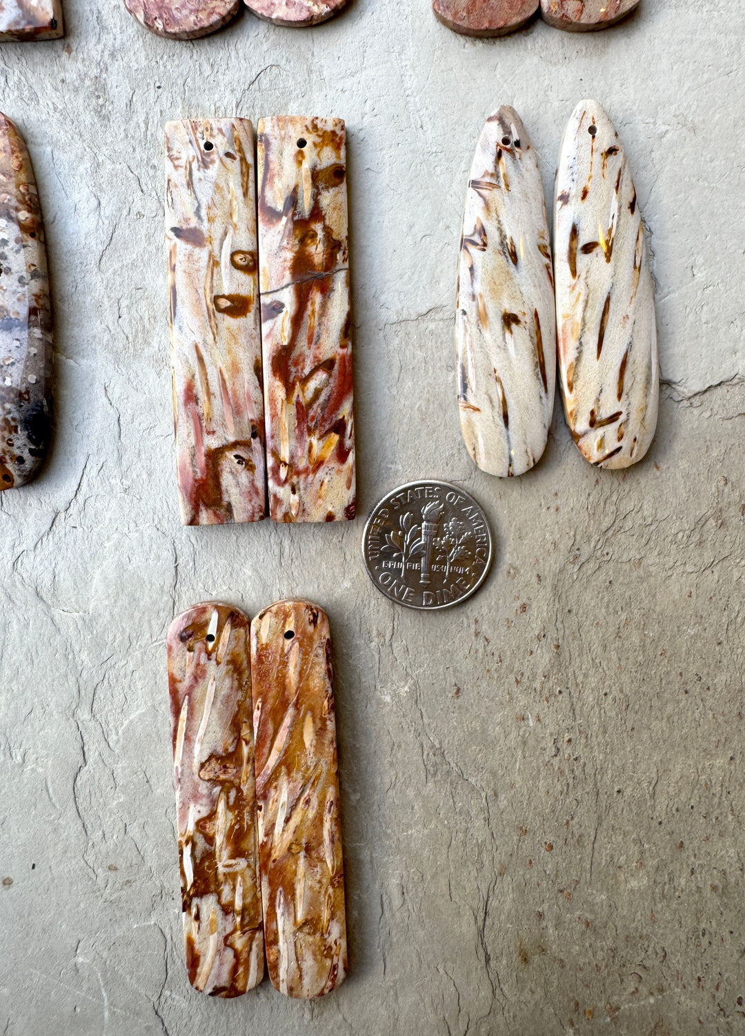 Petrified Palm Wood LARGE Matching Earring Slab Beads