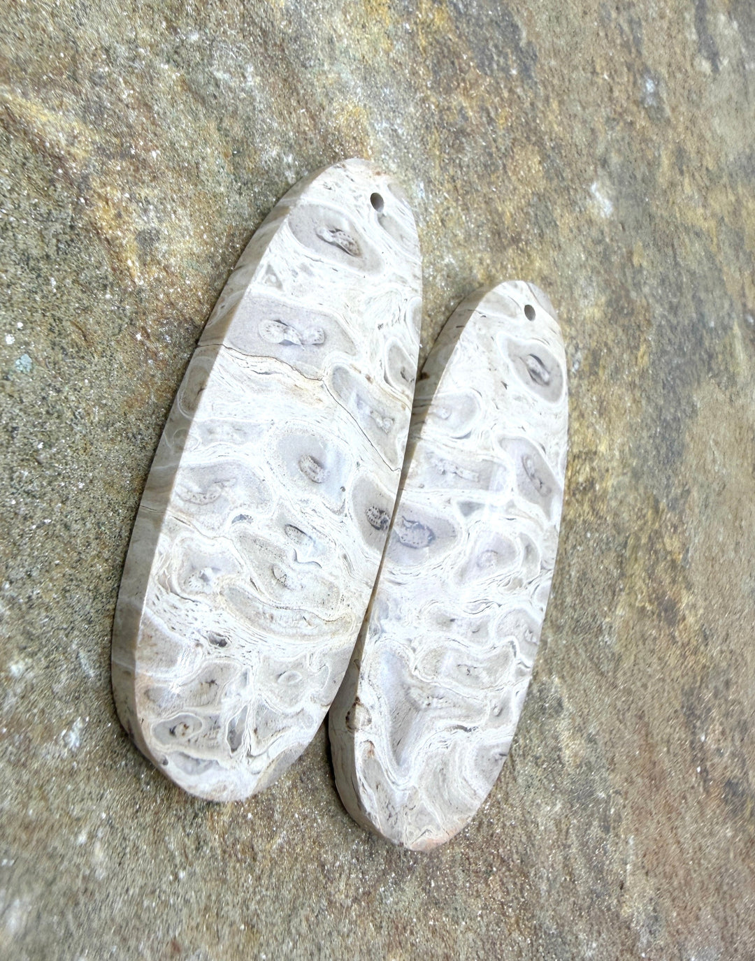 Petrified Palm Wood Matching Earring Slab Bead Pair 16x41mm