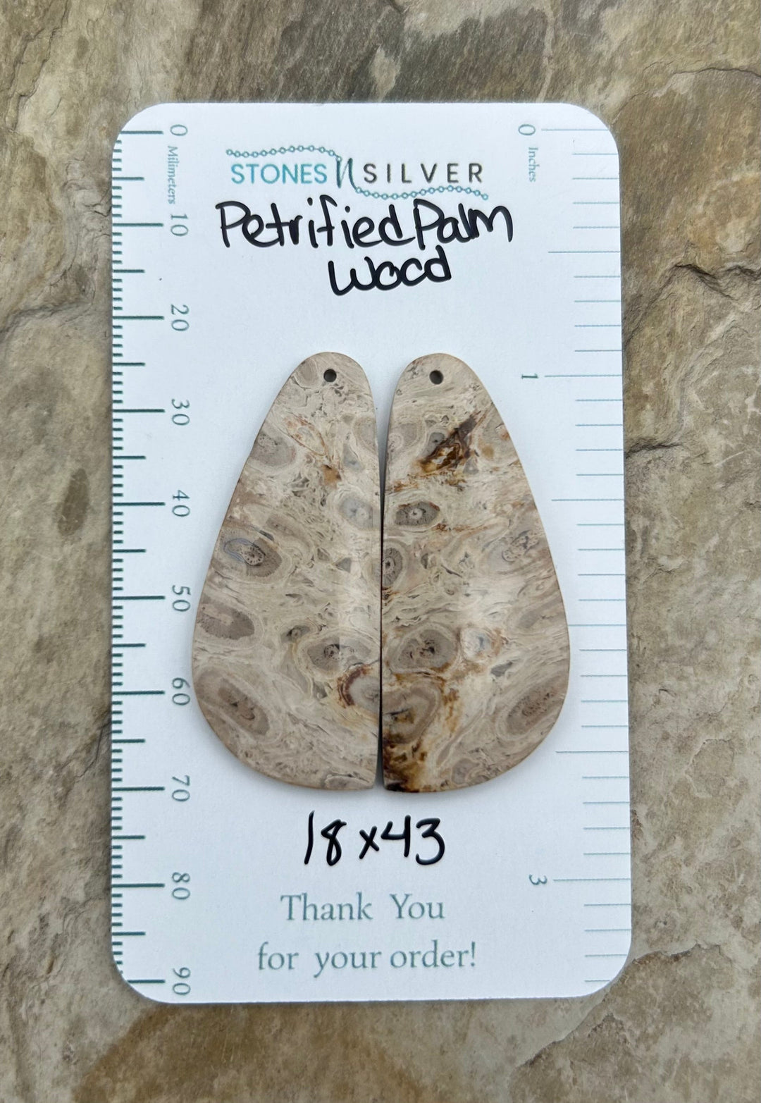 Petrified Palm Wood Matching Earring Slab Bead Pair 18x43mm