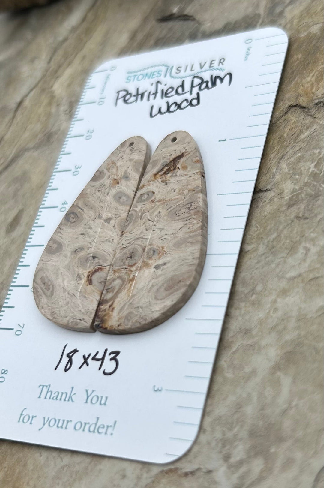 Petrified Palm Wood Matching Earring Slab Bead Pair 18x43mm