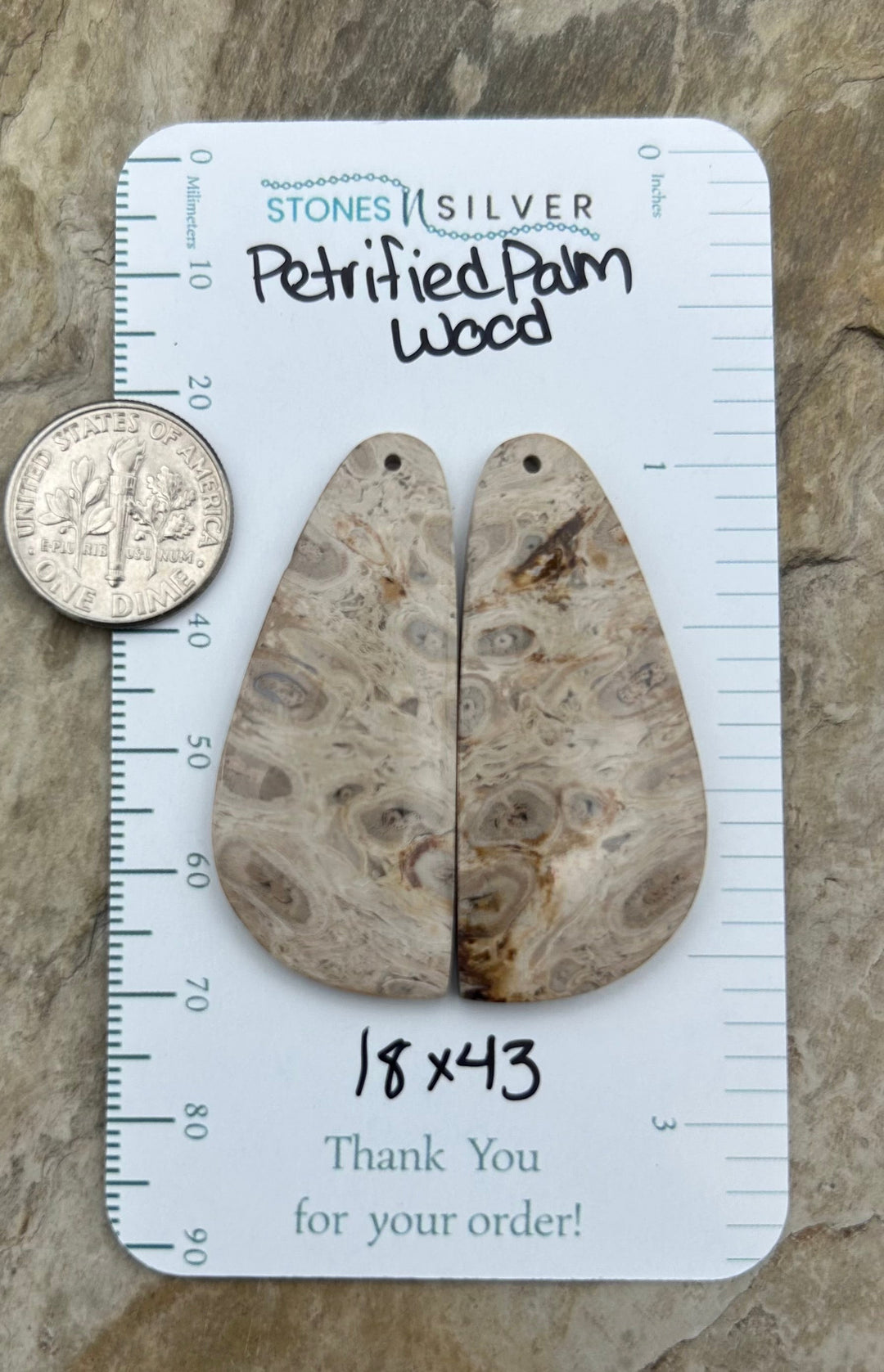 Petrified Palm Wood Matching Earring Slab Bead Pair 18x43mm