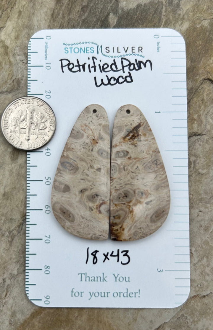 Petrified Palm Wood Matching Earring Slab Bead Pair 18x43mm