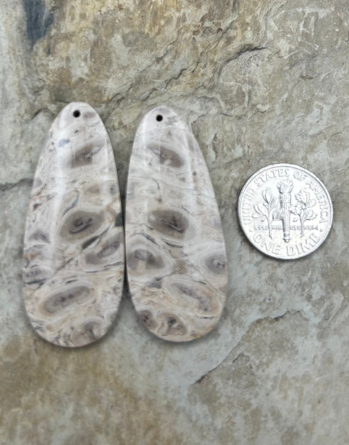 Petrified Palm Wood Matching Earring Slab Bead Pair 18x43mm