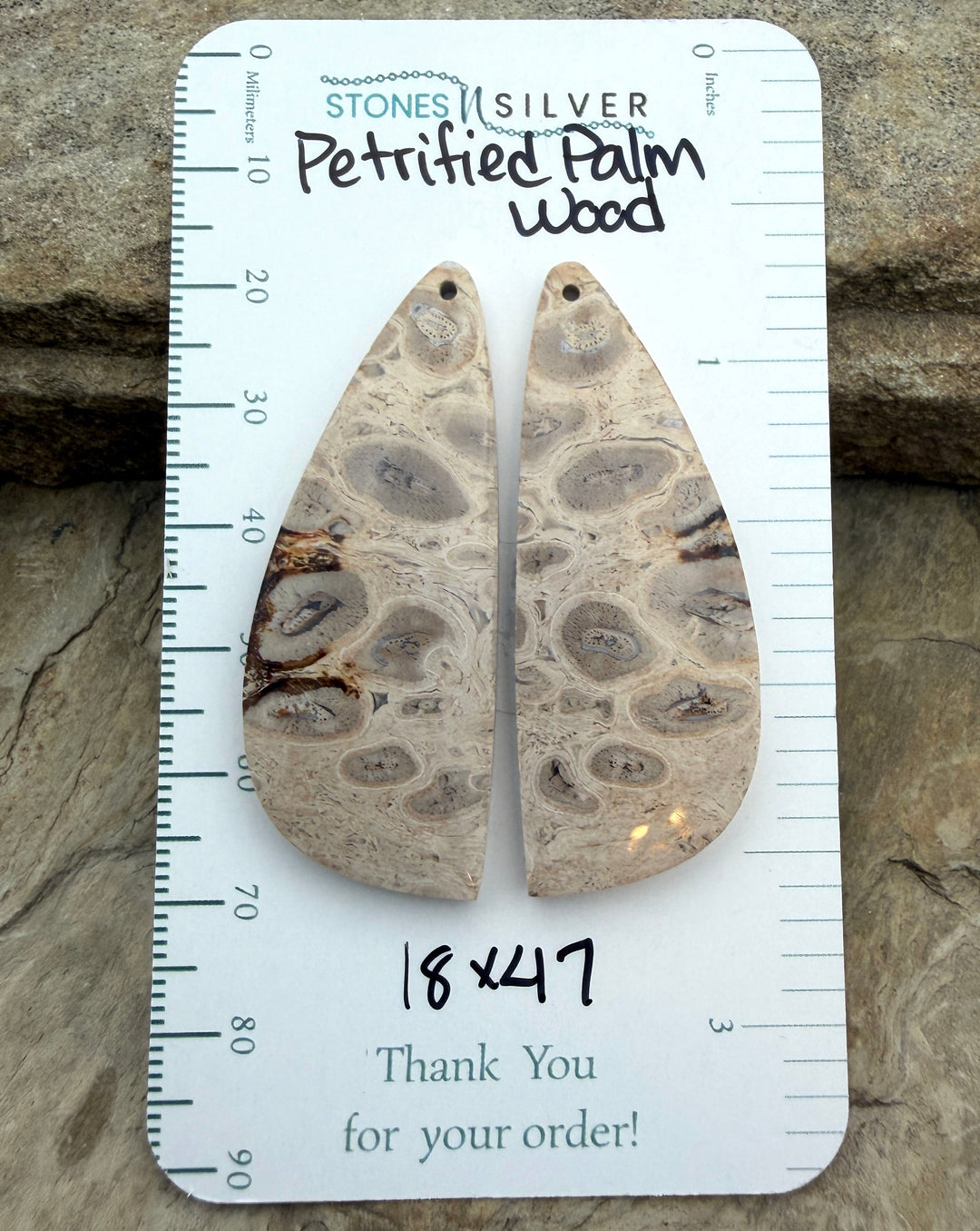 Petrified Palm Wood Matching Earring Slab Bead Pair 18x47mm