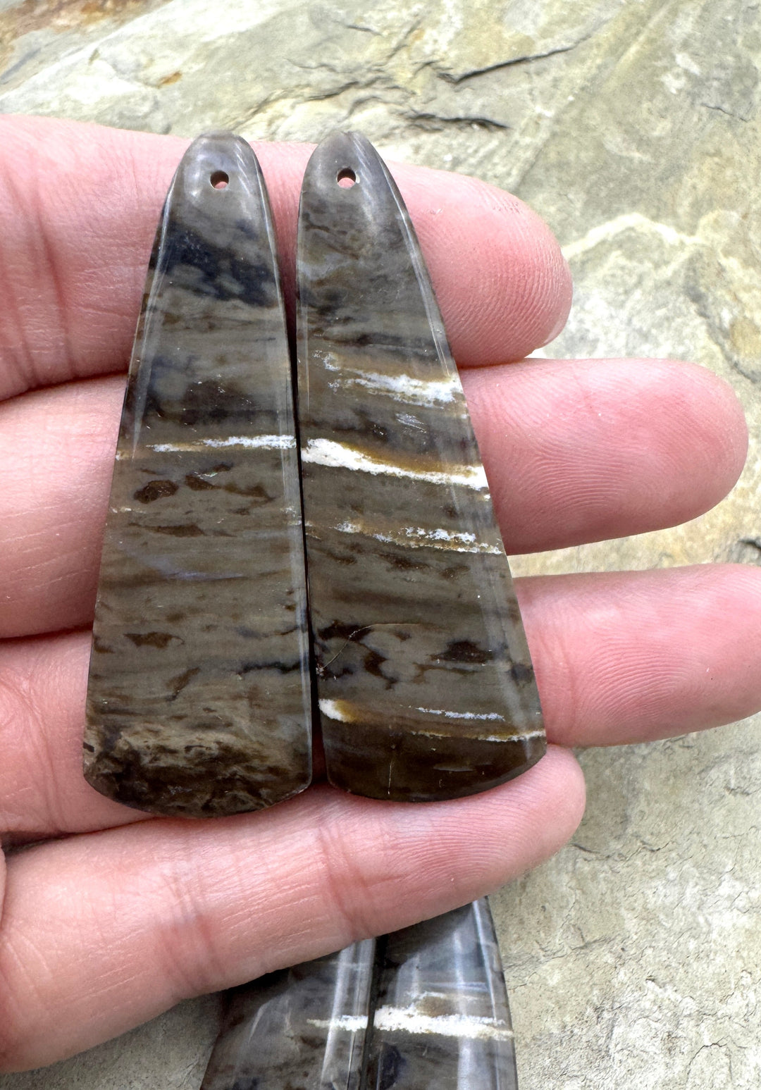 Petrified Wood Matching Earring Bead Slab Pair BIG (Select