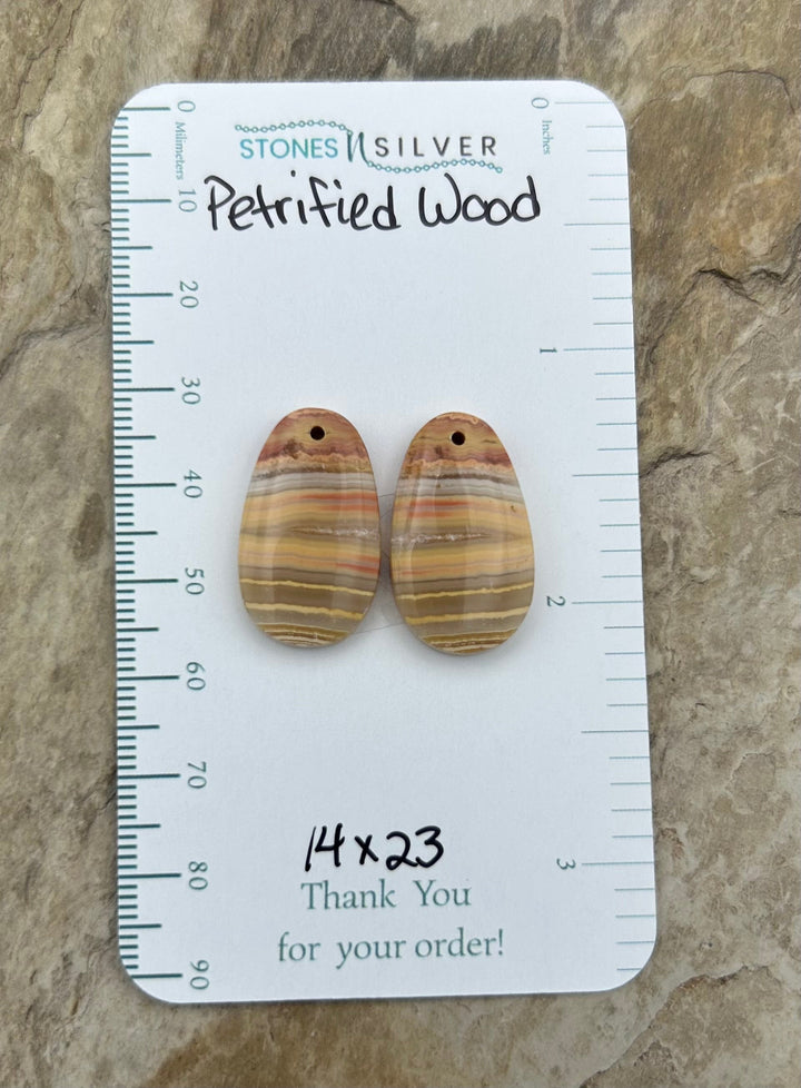 Petrified Wood Matching Earring Slab Bead Pair 14x23mm
