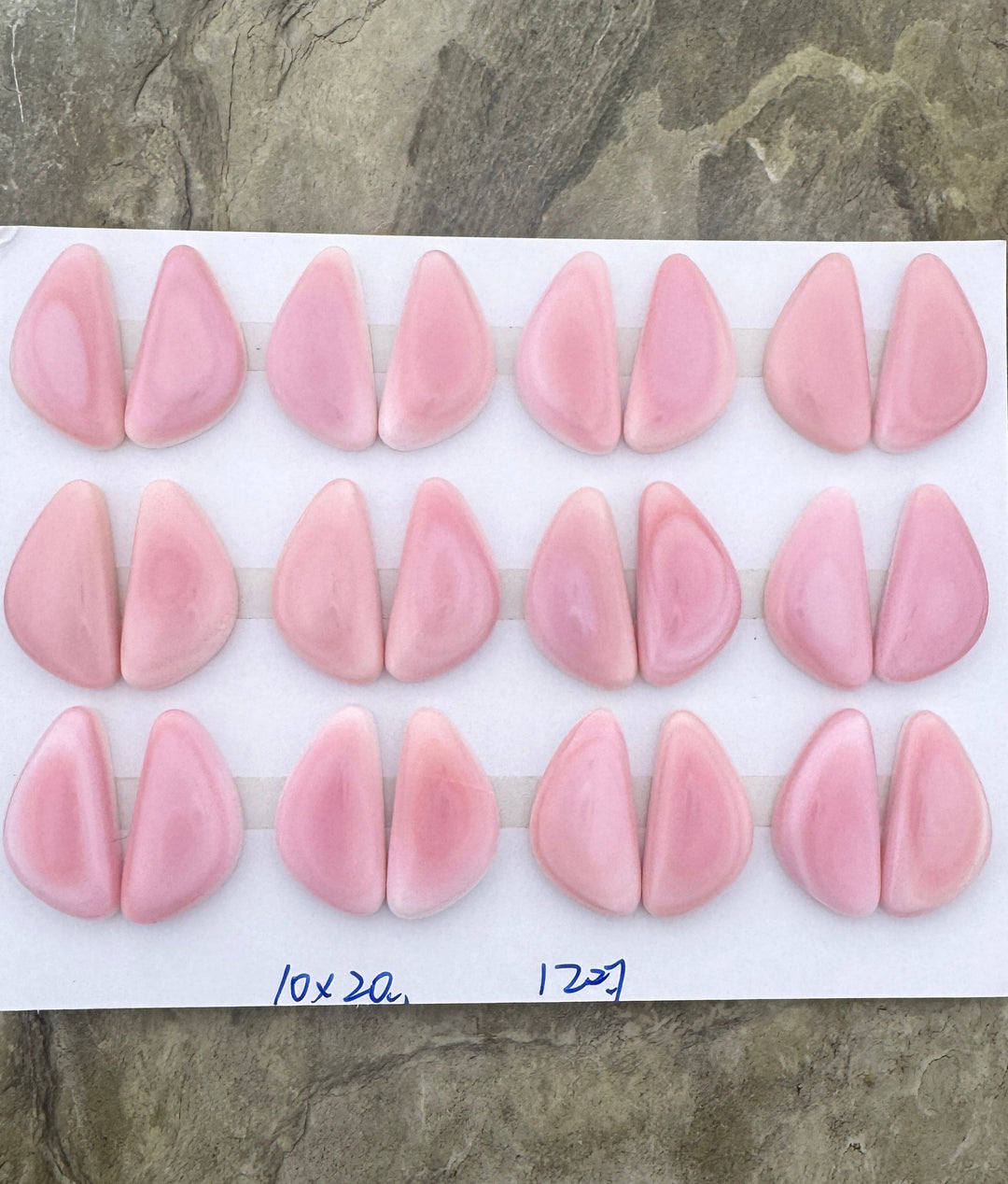 Pink Queen Conch 10x20mm Calibrated Freeform Cabochons