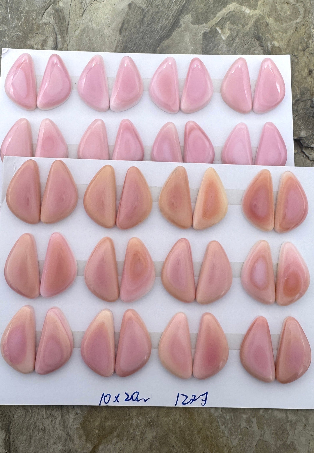 Pink Queen Conch 10x20mm Calibrated Freeform Cabochons