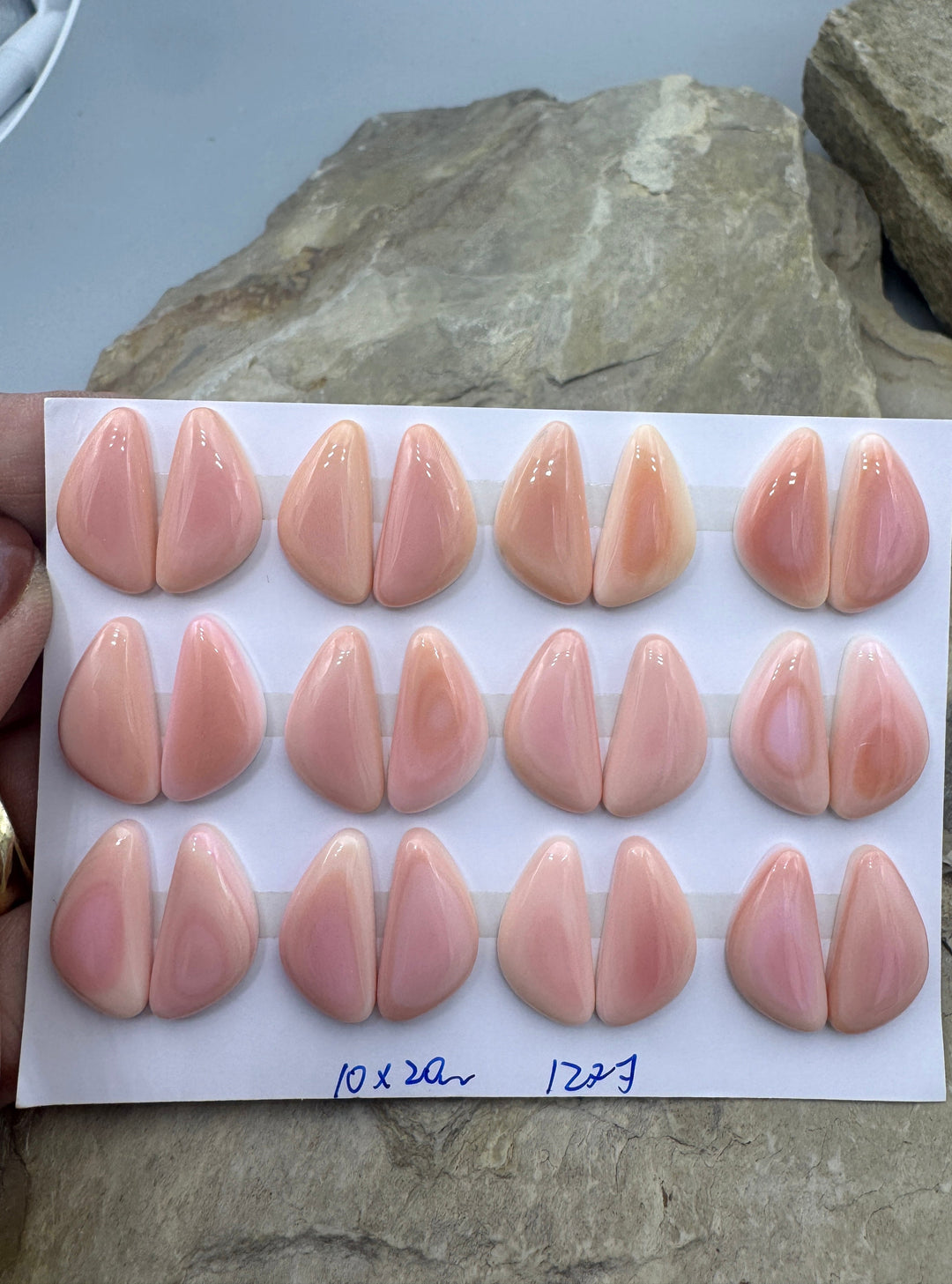 Pink Queen Conch 10x20mm Calibrated Freeform Cabochons