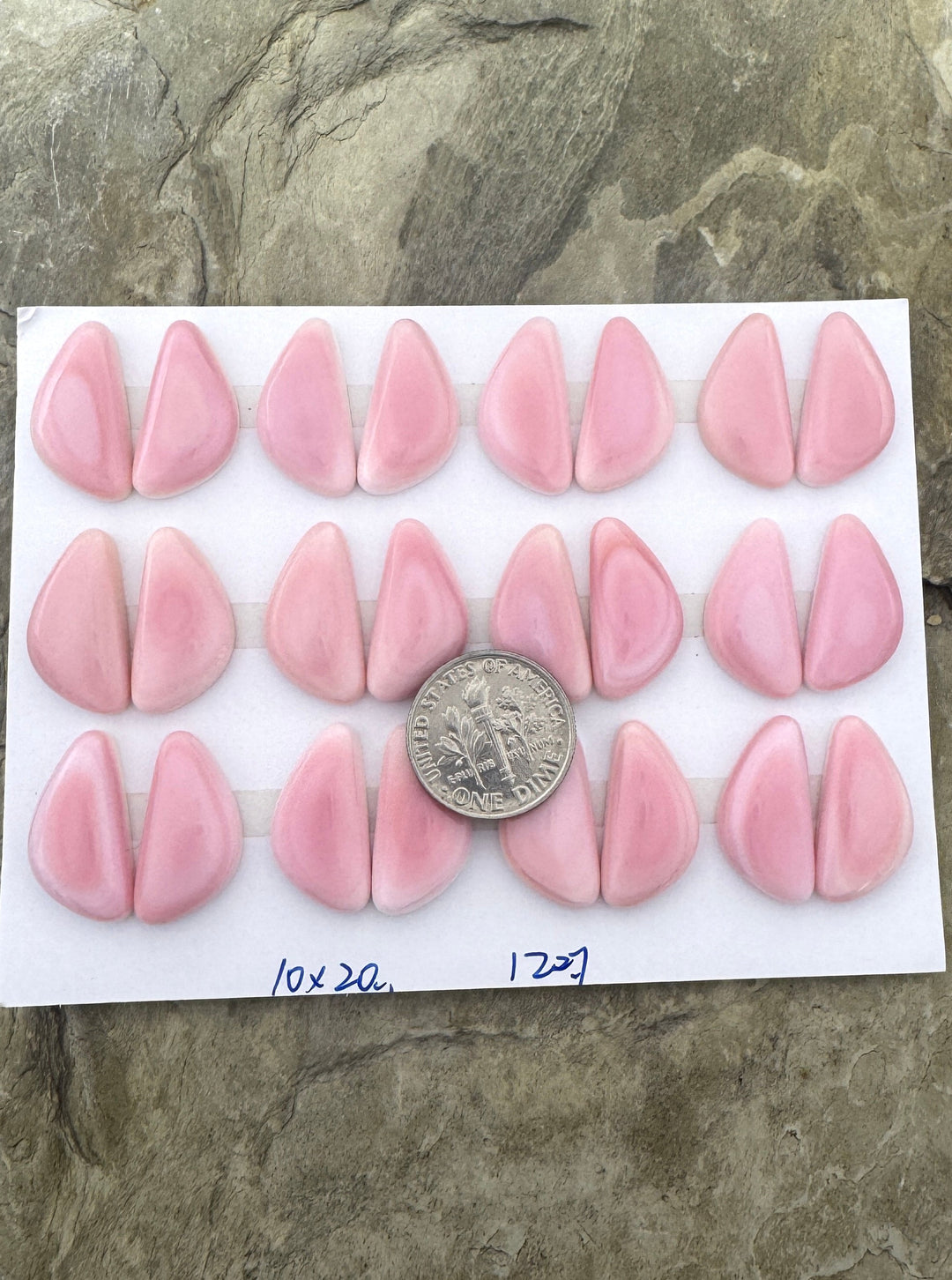 Pink Queen Conch 10x20mm Calibrated Freeform Cabochons