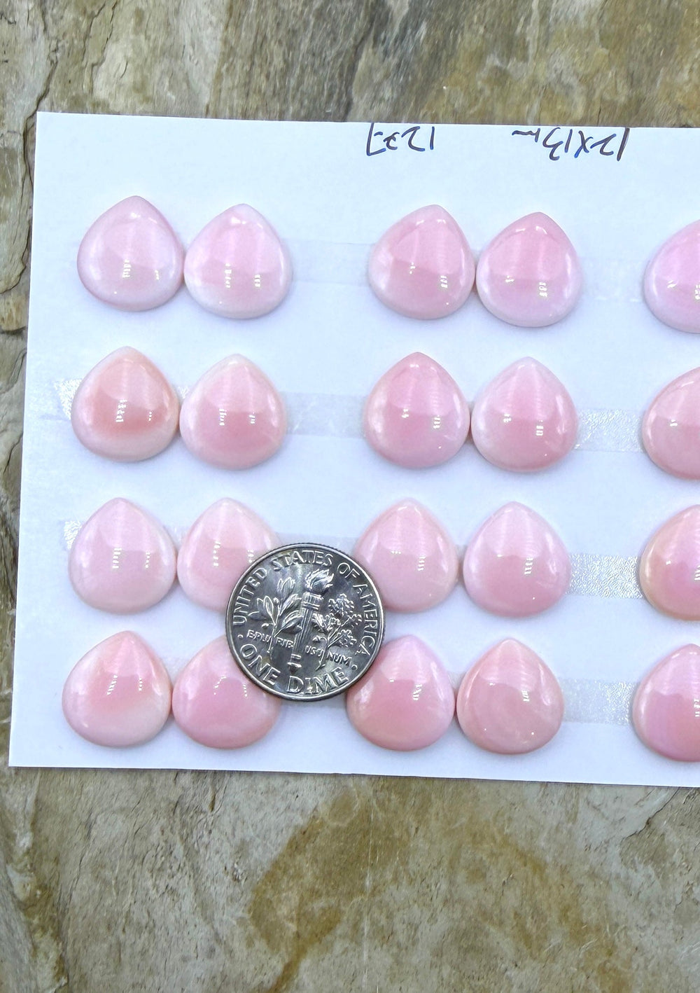 Pink Queen Conch 12x13mm Teardrop Calibrated Cabochons