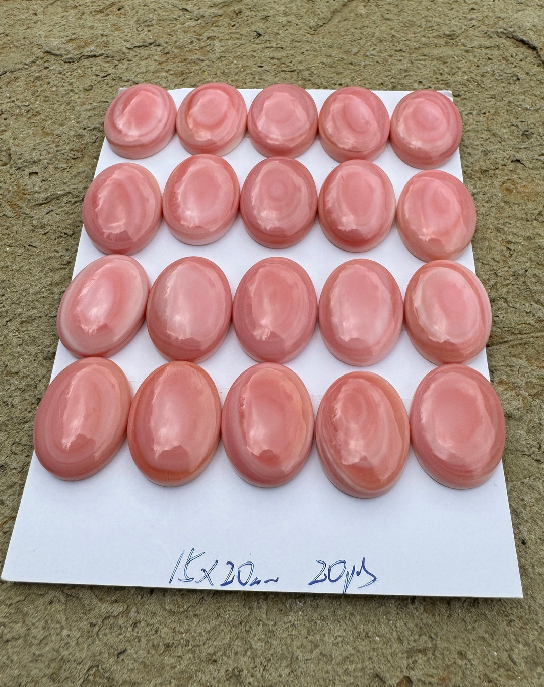 Pink Queen Conch 15x20mm Calibrated Oval Cabochon One Cab