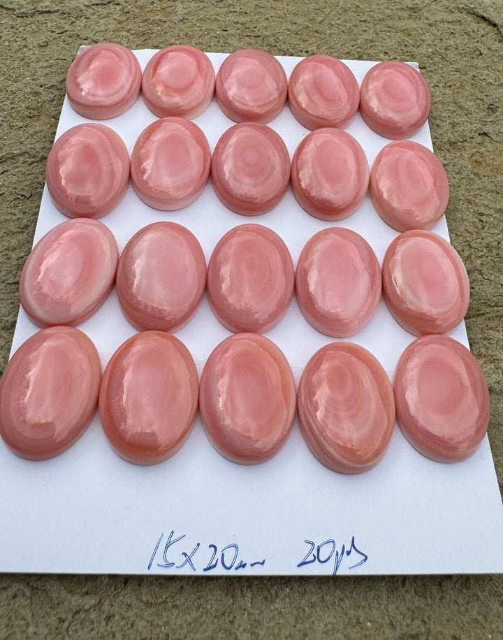 Pink Queen Conch 15x20mm Calibrated Oval Cabochon One Cab