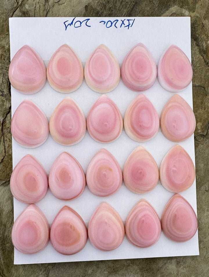 Pink Queen Conch 15x20mm Calibrated Teardrop Cabochons