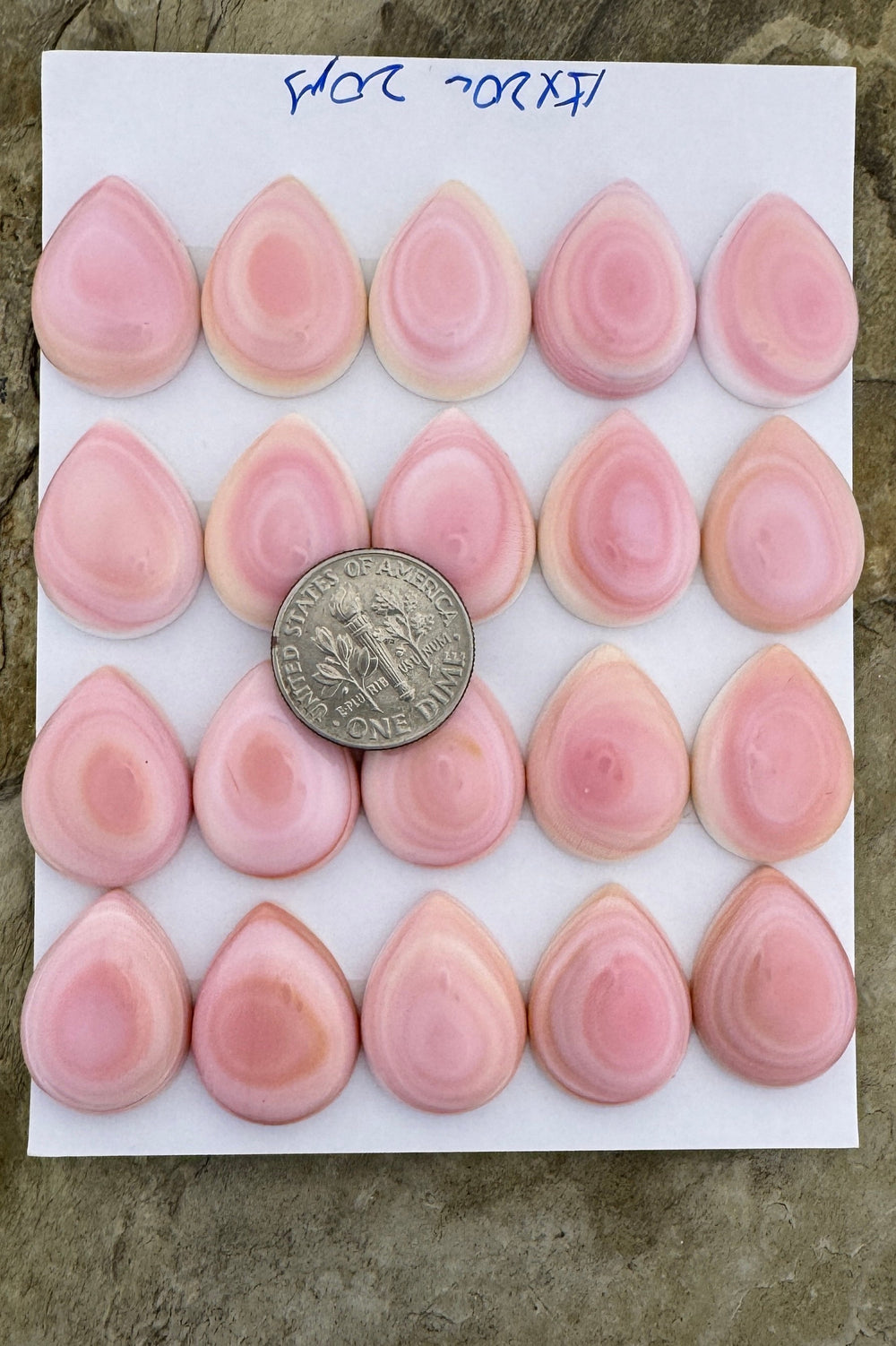 Pink Queen Conch 15x20mm Calibrated Teardrop Cabochons