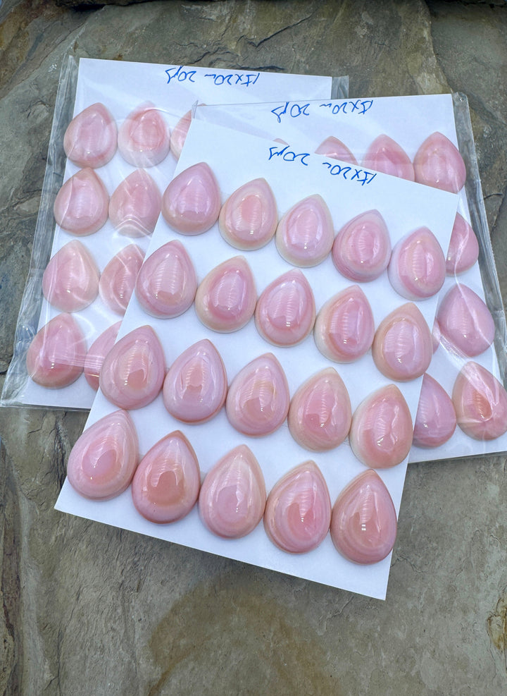 Pink Queen Conch 15x20mm Calibrated Teardrop Cabochons