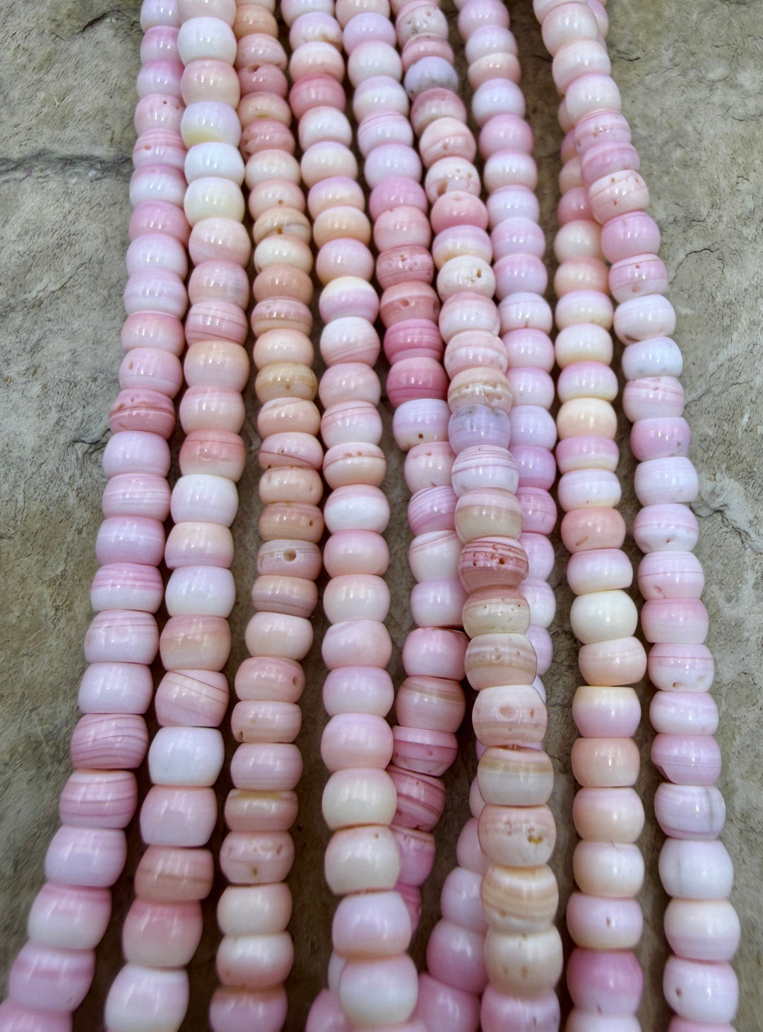 Pink Queen Conch Shell 4mm Rondelle Bead Strand (16 inch