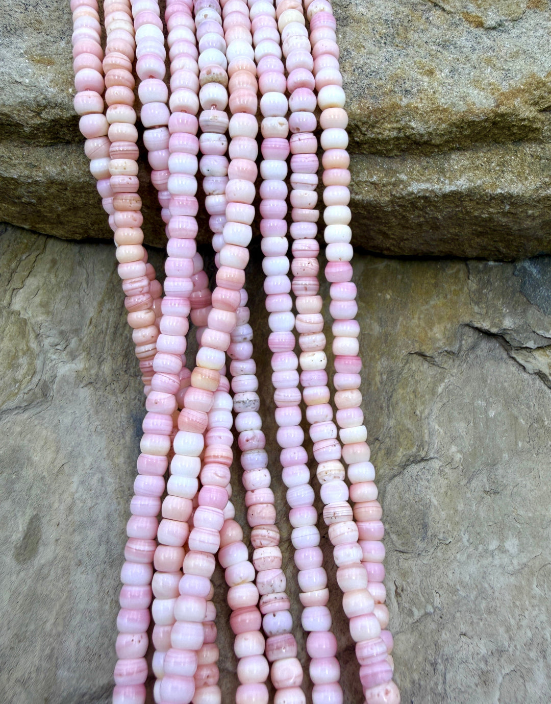 Pink Queen Conch Shell 4mm Rondelle Bead Strand (16 inch