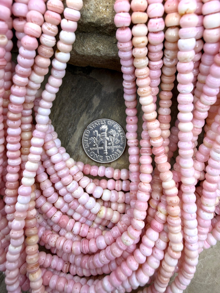 Pink Queen Conch Shell 4mm Rondelle Beads 16 inch Strand