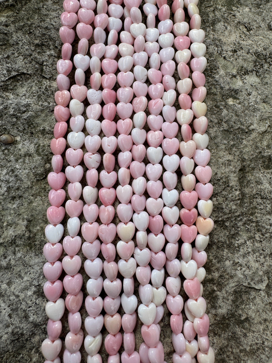 Pink Queen Conch Shell 6mm Heart Bead Strand (16 inch