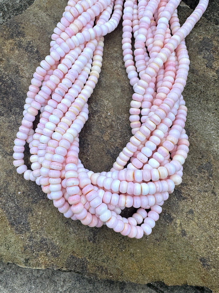 Pink Queen Conch Shell 6mm Rondelle Bead Strand (16 inch