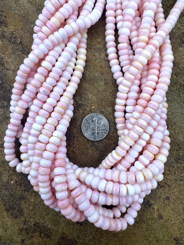 Pink Queen Conch Shell 6mm Rondelle Bead Strand (16 inch