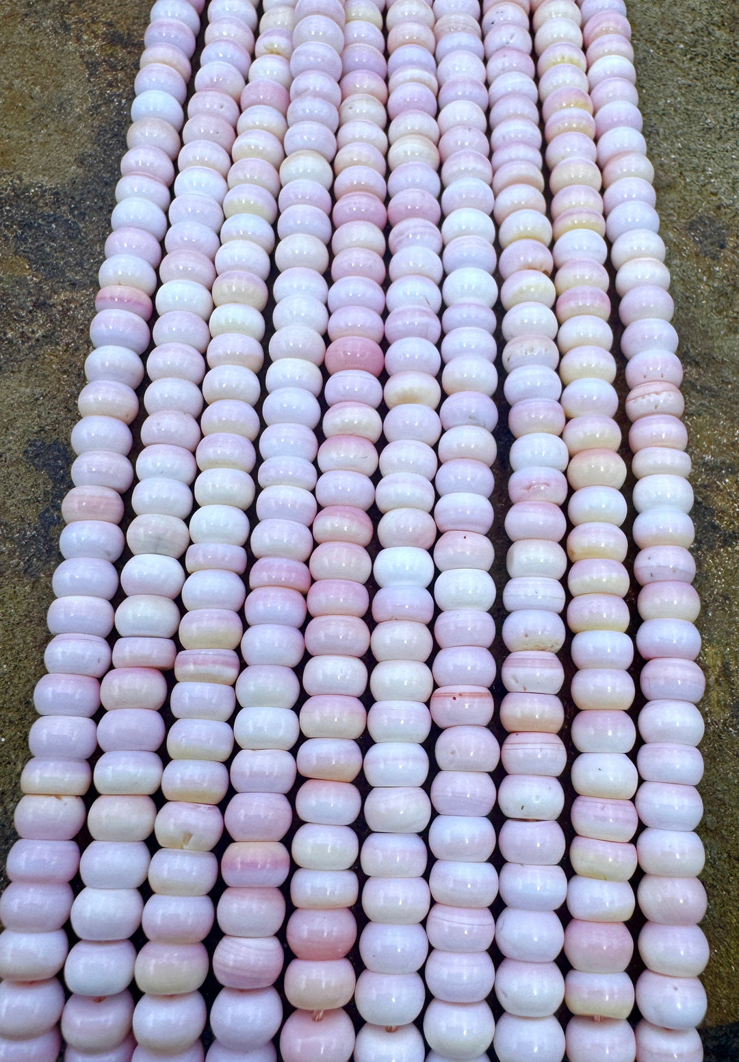 Pink Queen Conch Shell 6mm Rondelle Bead Strand (16 inch