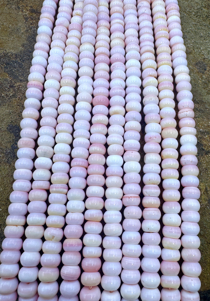 Pink Queen Conch Shell 6mm Rondelle Bead Strand (16 inch