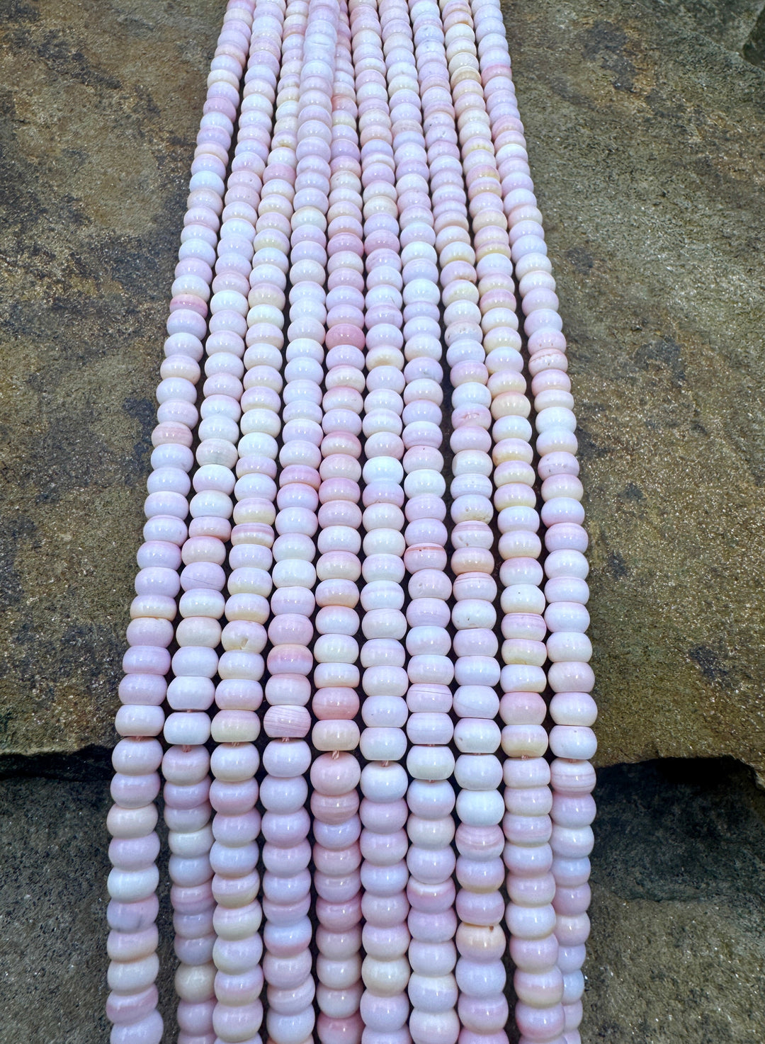 Pink Queen Conch Shell 6mm Rondelle Bead Strand (16 inch