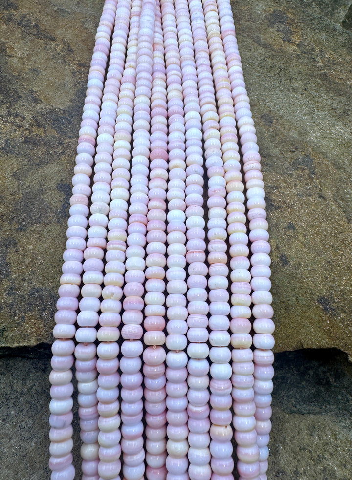 Pink Queen Conch Shell 6mm Rondelle Bead Strand (16 inch