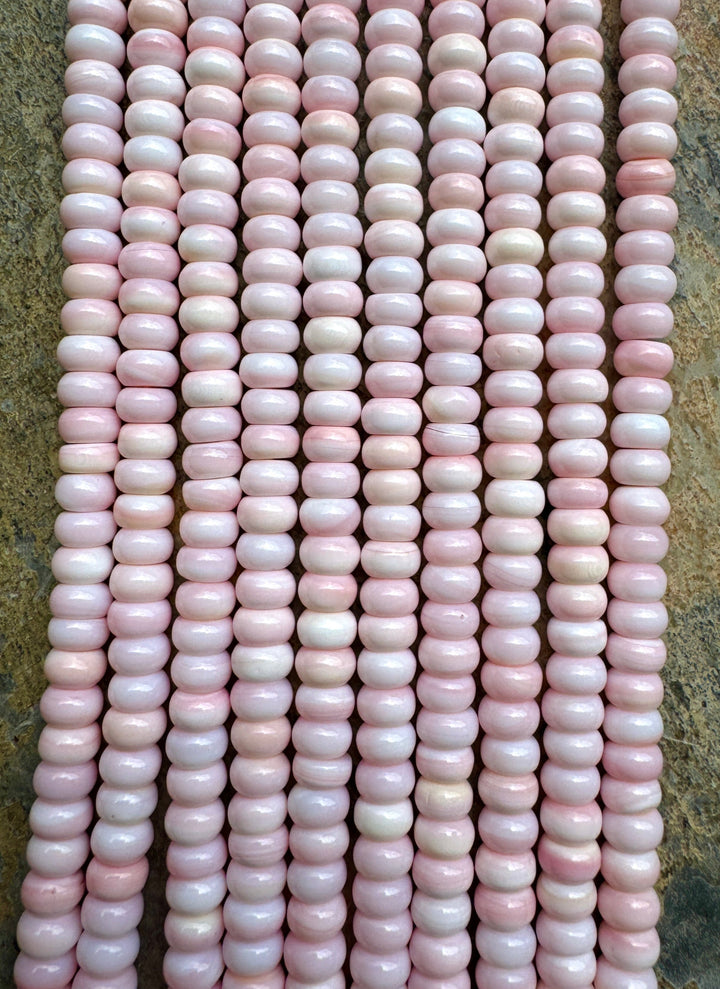 Pink Queen Conch Shell 6mm Rondelle Bead Strand (16 inch