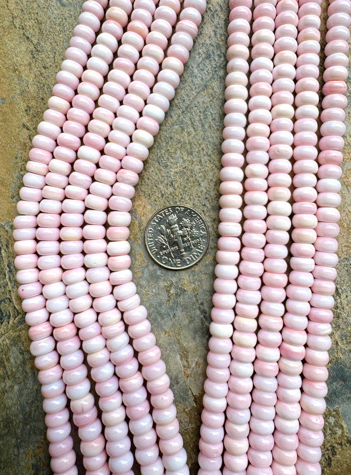 Pink Queen Conch Shell 6mm Rondelle Bead Strand (16 inch