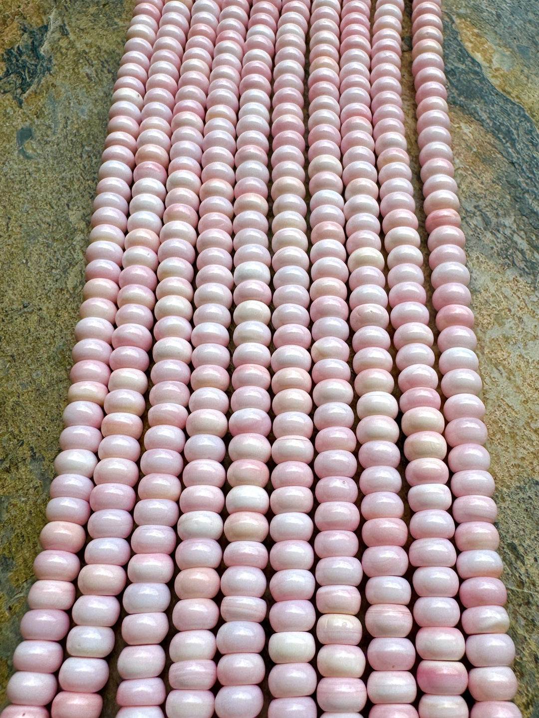 Pink Queen Conch Shell 6mm Rondelle Bead Strand (16 inch