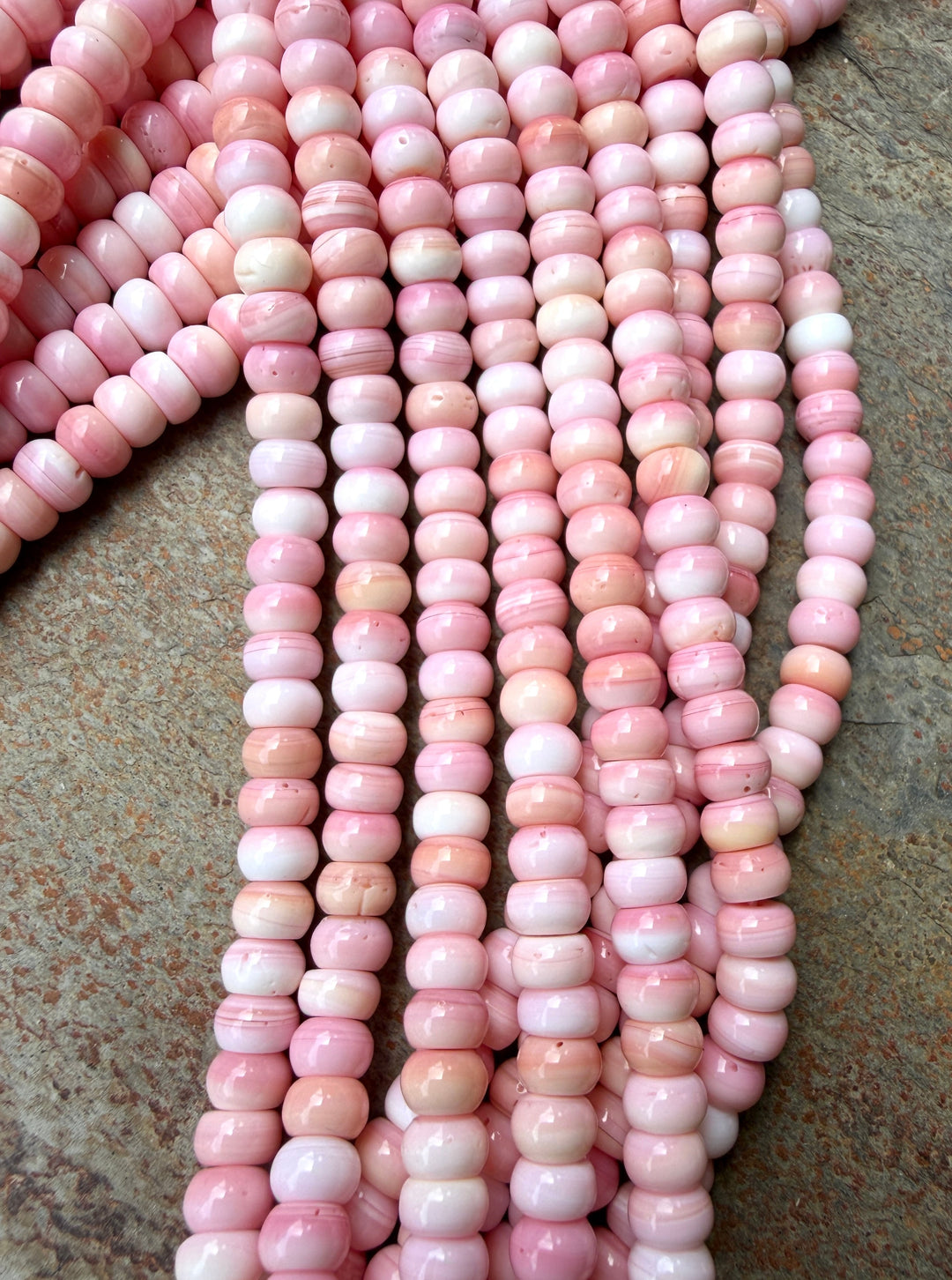Pink Queen Conch Shell 6mm Rondelle Beads 16 inch Strand